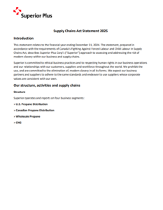 2025 Supply Chains Act Statement